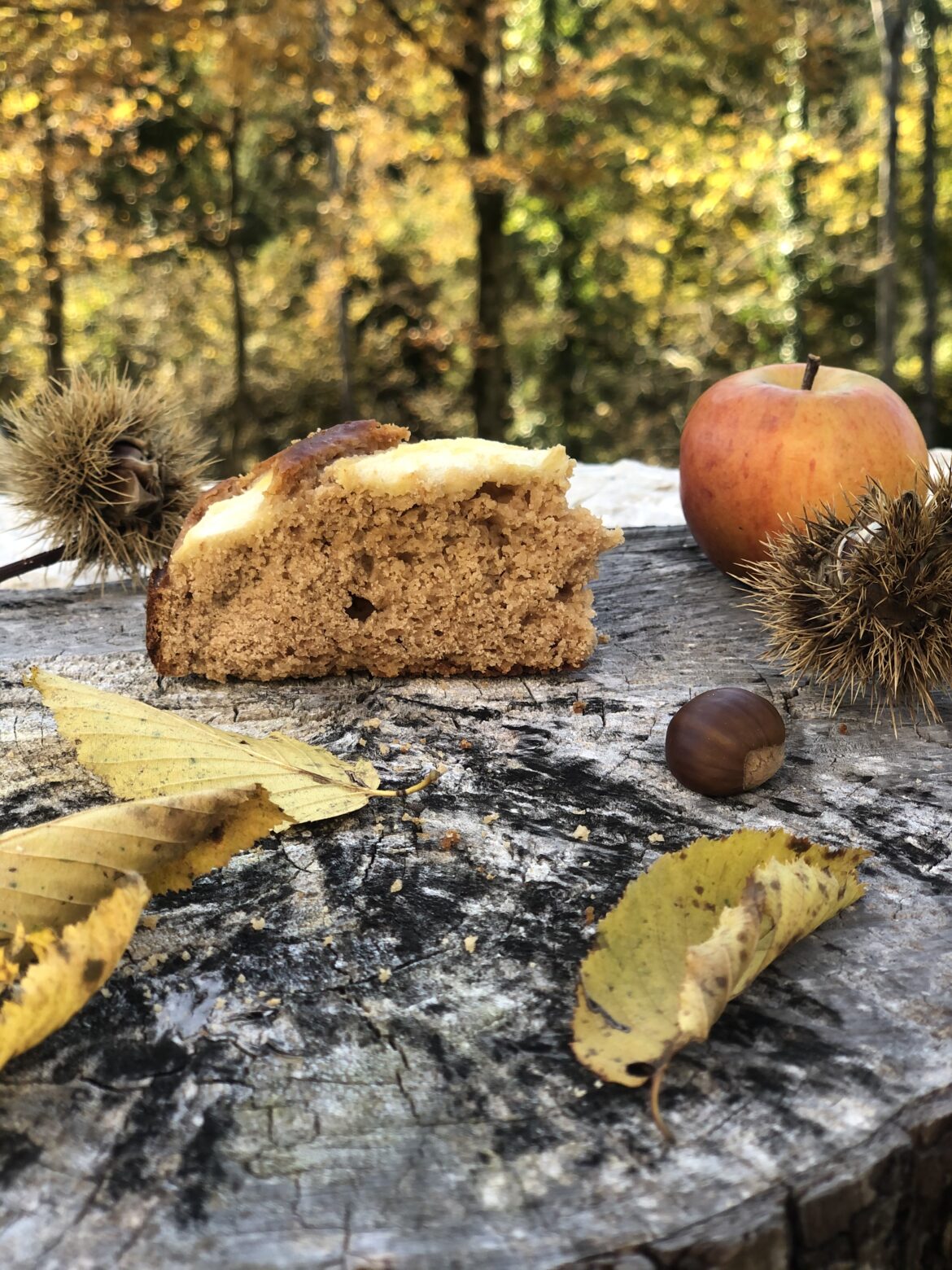 ricetta-torta-di-mele-e-castagne-lattebusche